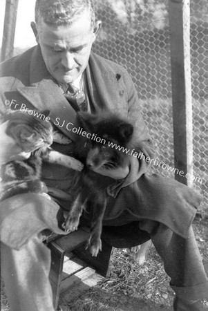 SILVER FOX FARM MR O'DRISCOLL (OWNER) WITH PET FOX & CAT